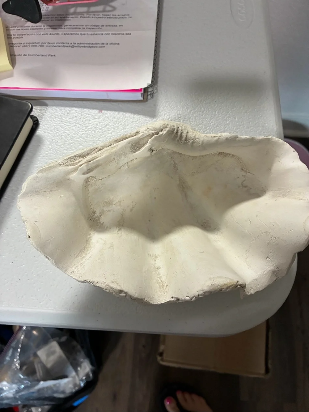 White Shell-Shaped Decorative Accent Bowl - Coastal Home Accent